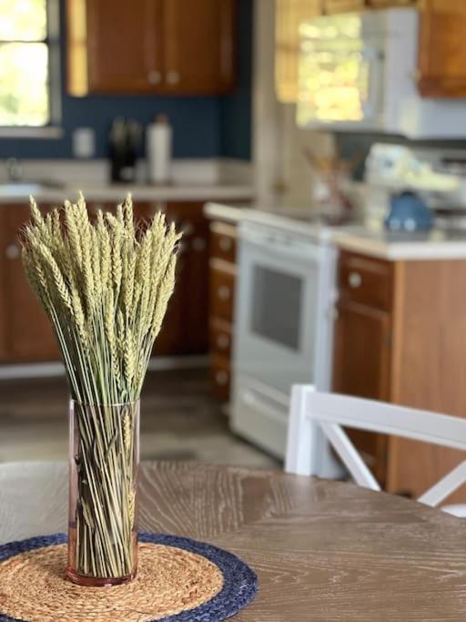 Charming House In Sevierville Family Friendly Quiet Location Close To Wilderness Εξωτερικό φωτογραφία